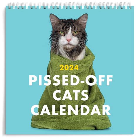 angry cat calendar 2024